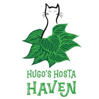 Hugo's Hosta Haven